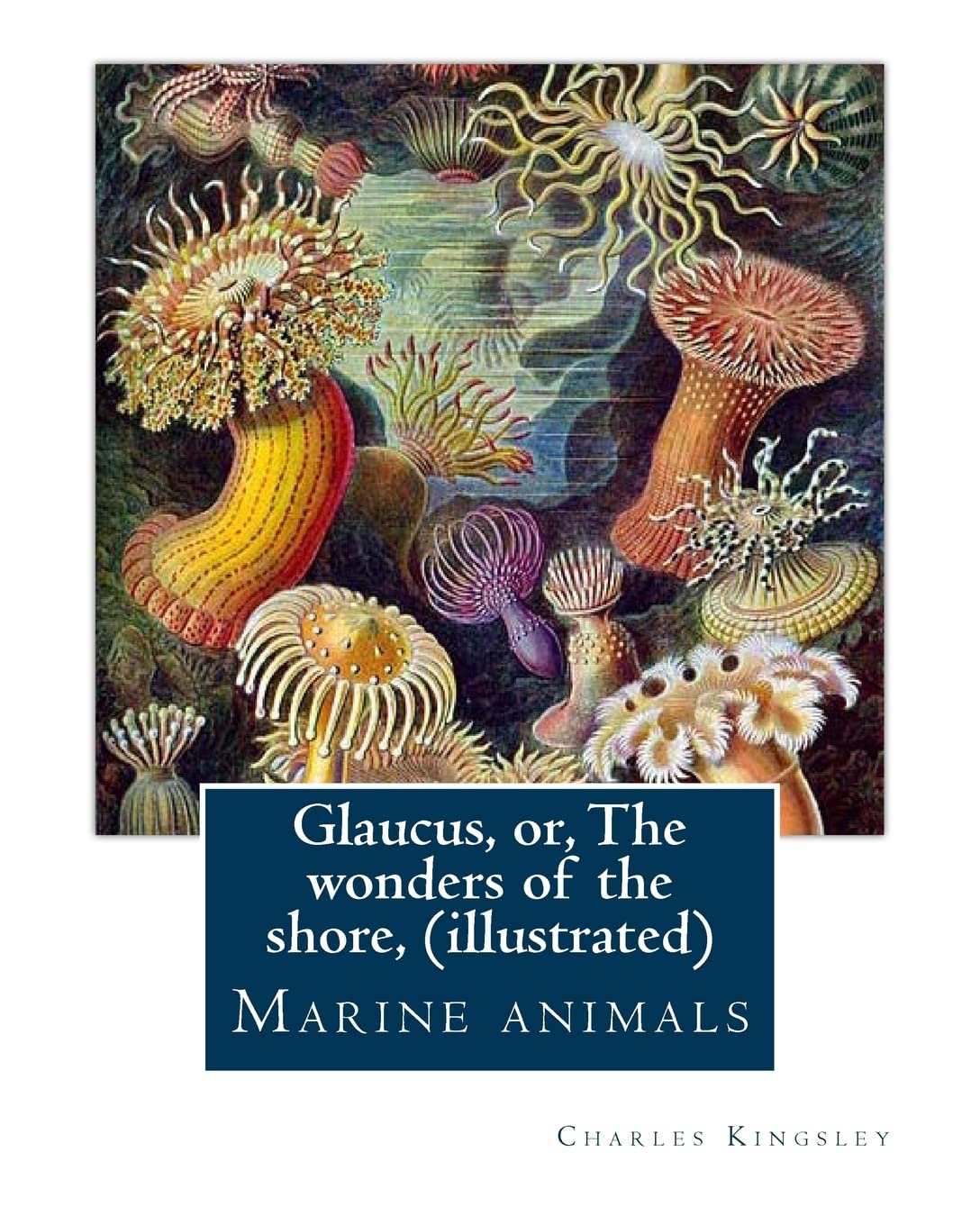 Glaucus, or, The wonders of the shore, By Charles Kingsley (illustrated)