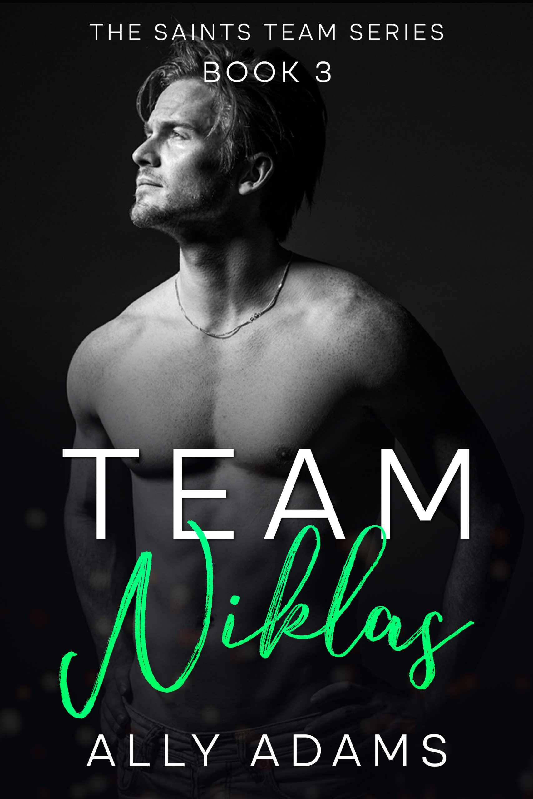 Team Niklas (The Saints Team #3 - Ally Adams