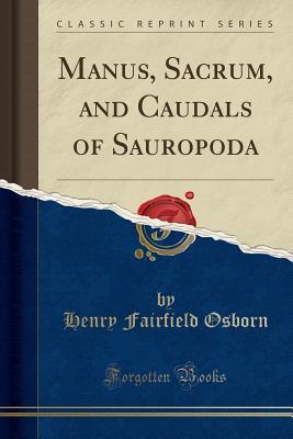 Manus, Sacrum, and Caudals of Sauropoda
