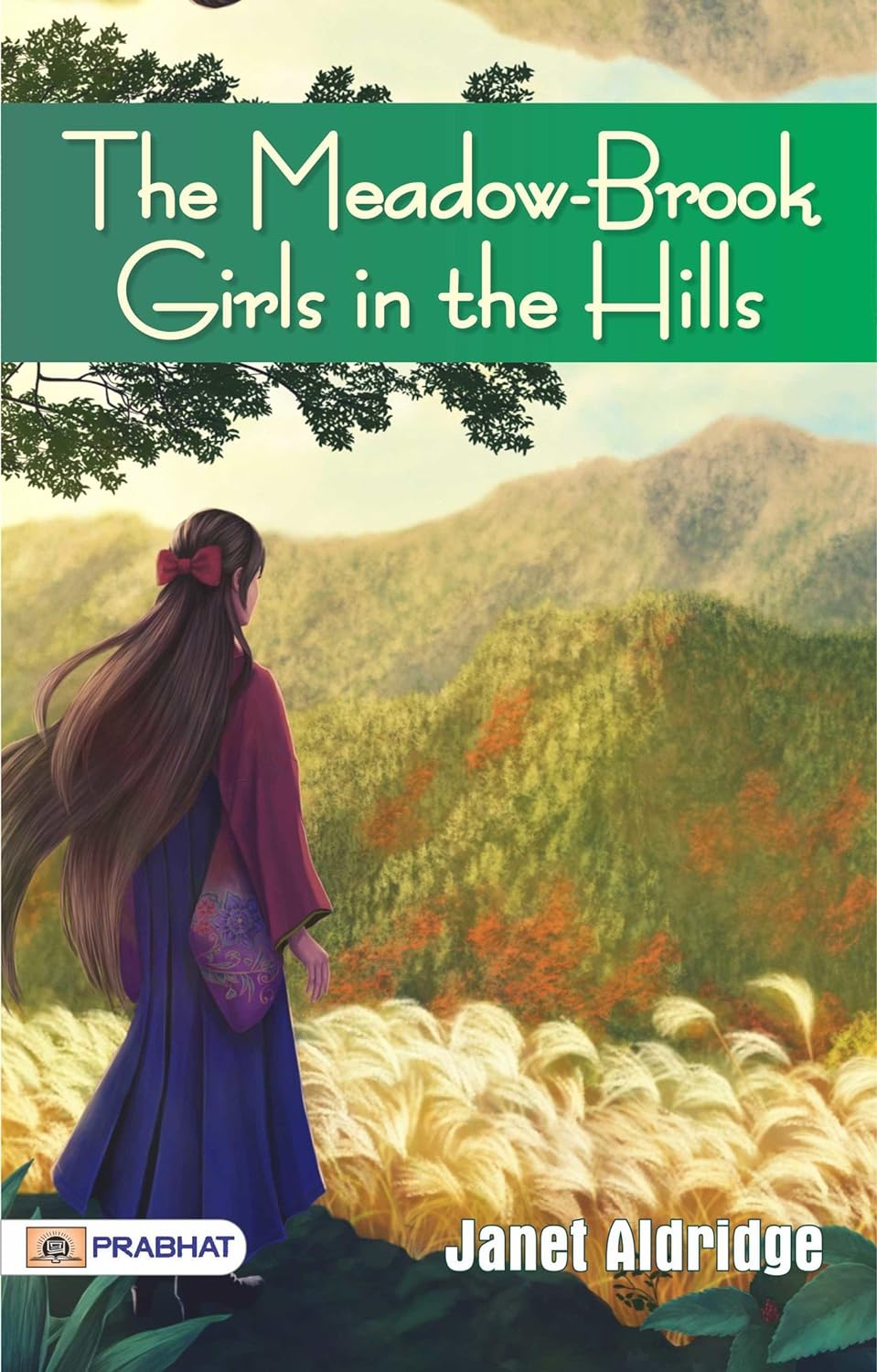 The Meadow-Brook Girls in the Hills The Missing Pilot of the White Mountains