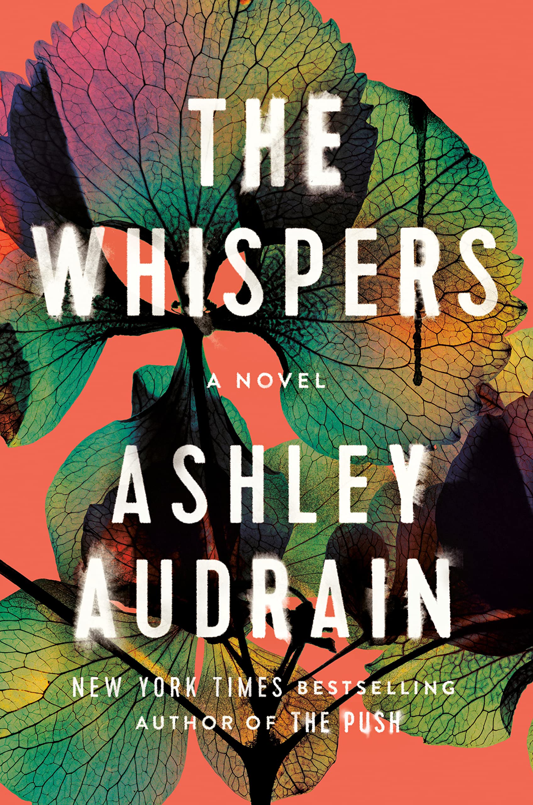 The Whispers - Ashley Audrain