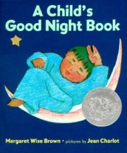 A Child's Good Night Book