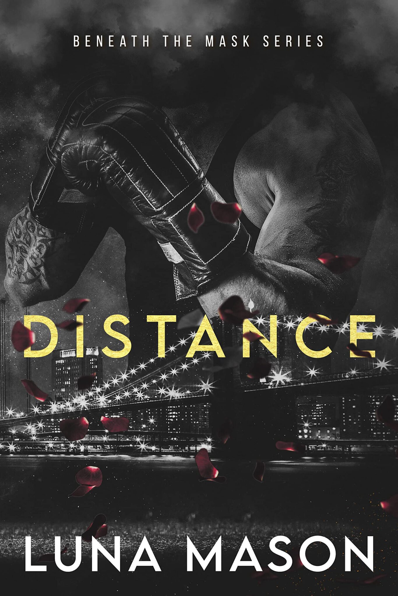 Distance by Luna Mason PDF, EPUB Download or Read Online