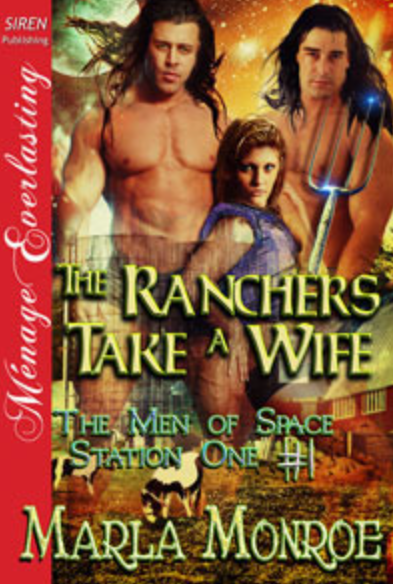 The Ranchers Take a Wife