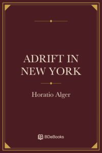 Adrift in New York by Horatio Alger, book cover