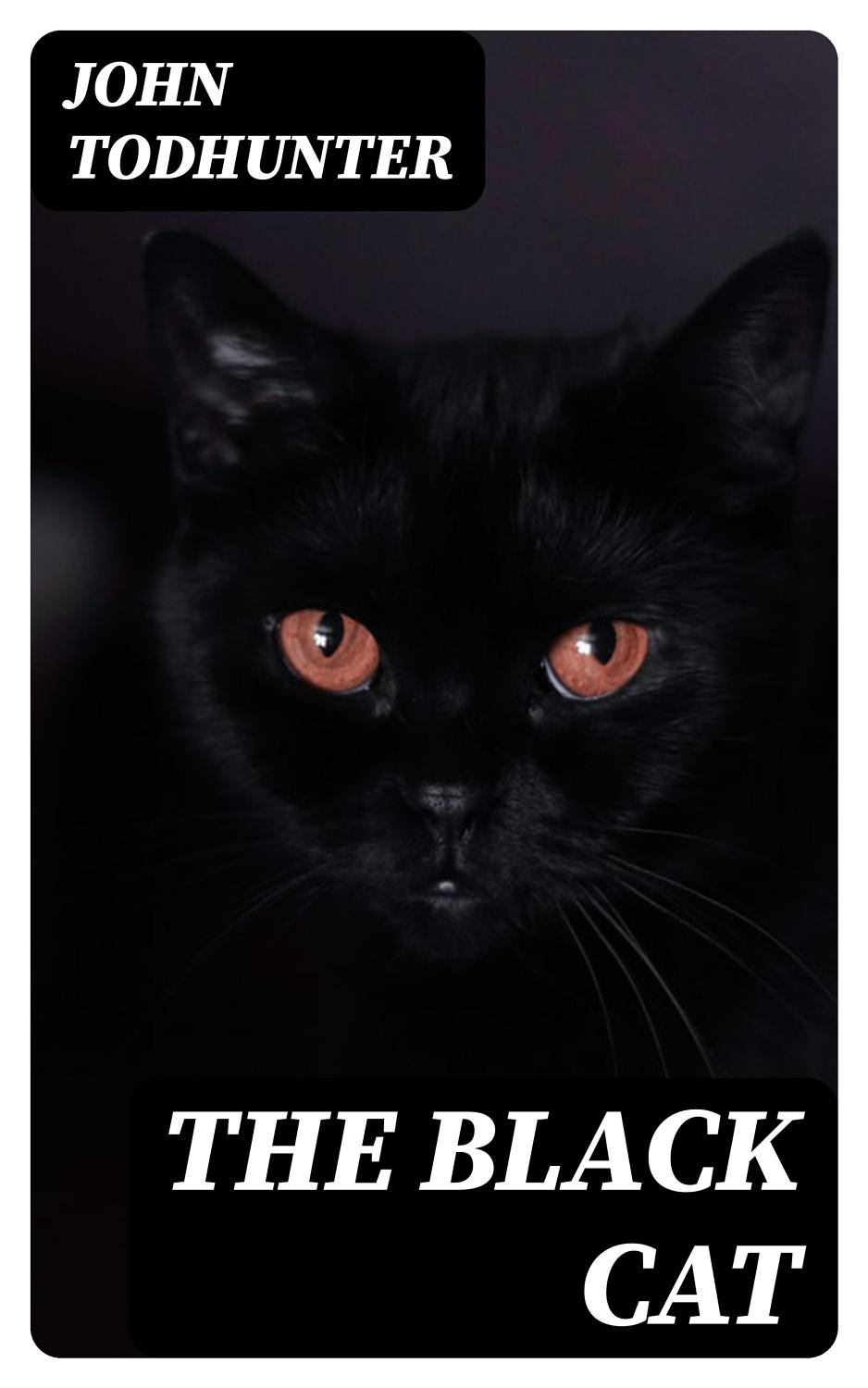 Cover of The Black Cat A Play in Three Acts
