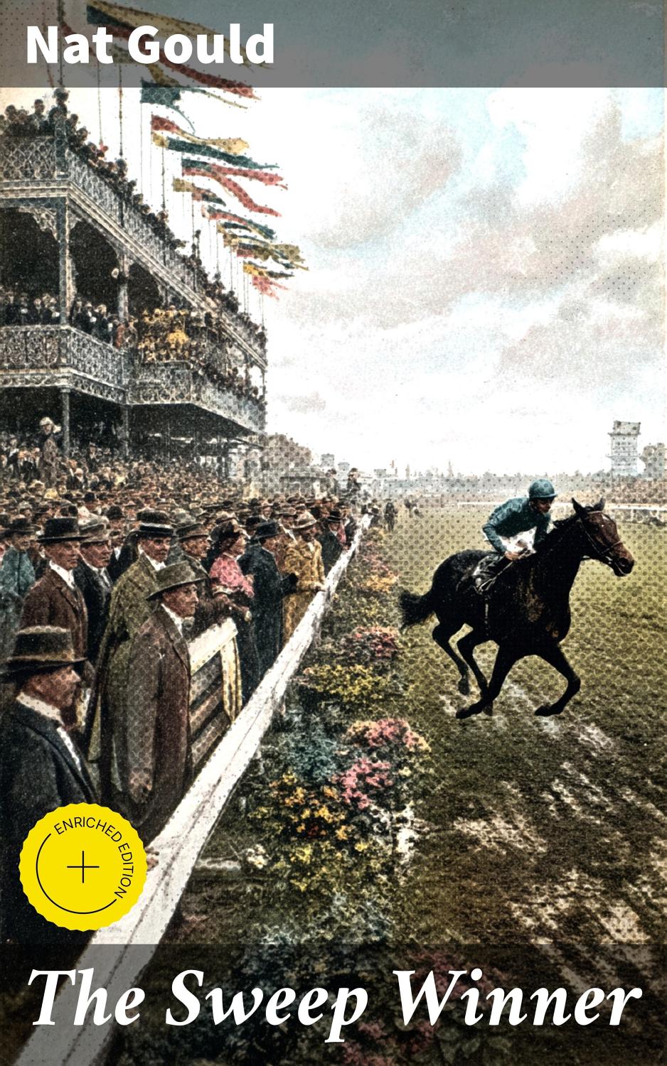 Cover of The Sweep Winner