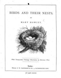 Cover of Birds and Their Nests