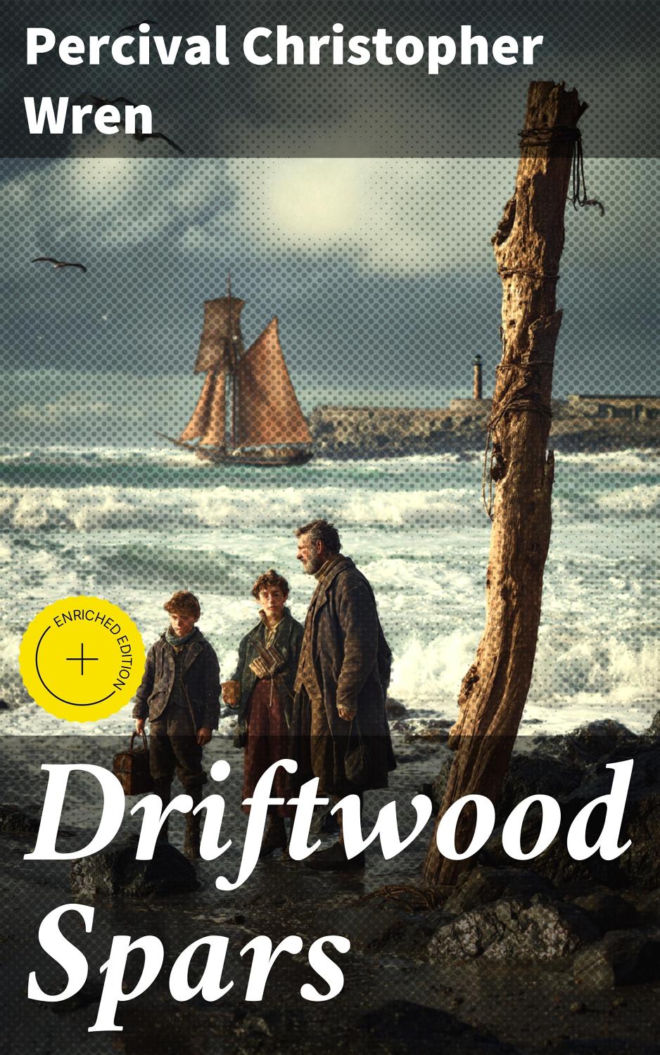 Cover of Driftwood Spars