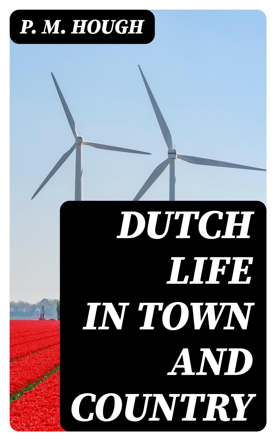 Cover of Dutch Life in Town and Country