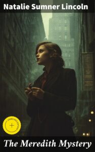Cover of The Meredith Mystery