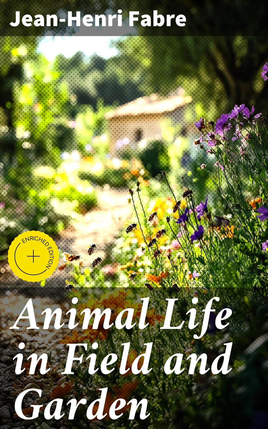 Animal Life In Field And Garden Pg66755