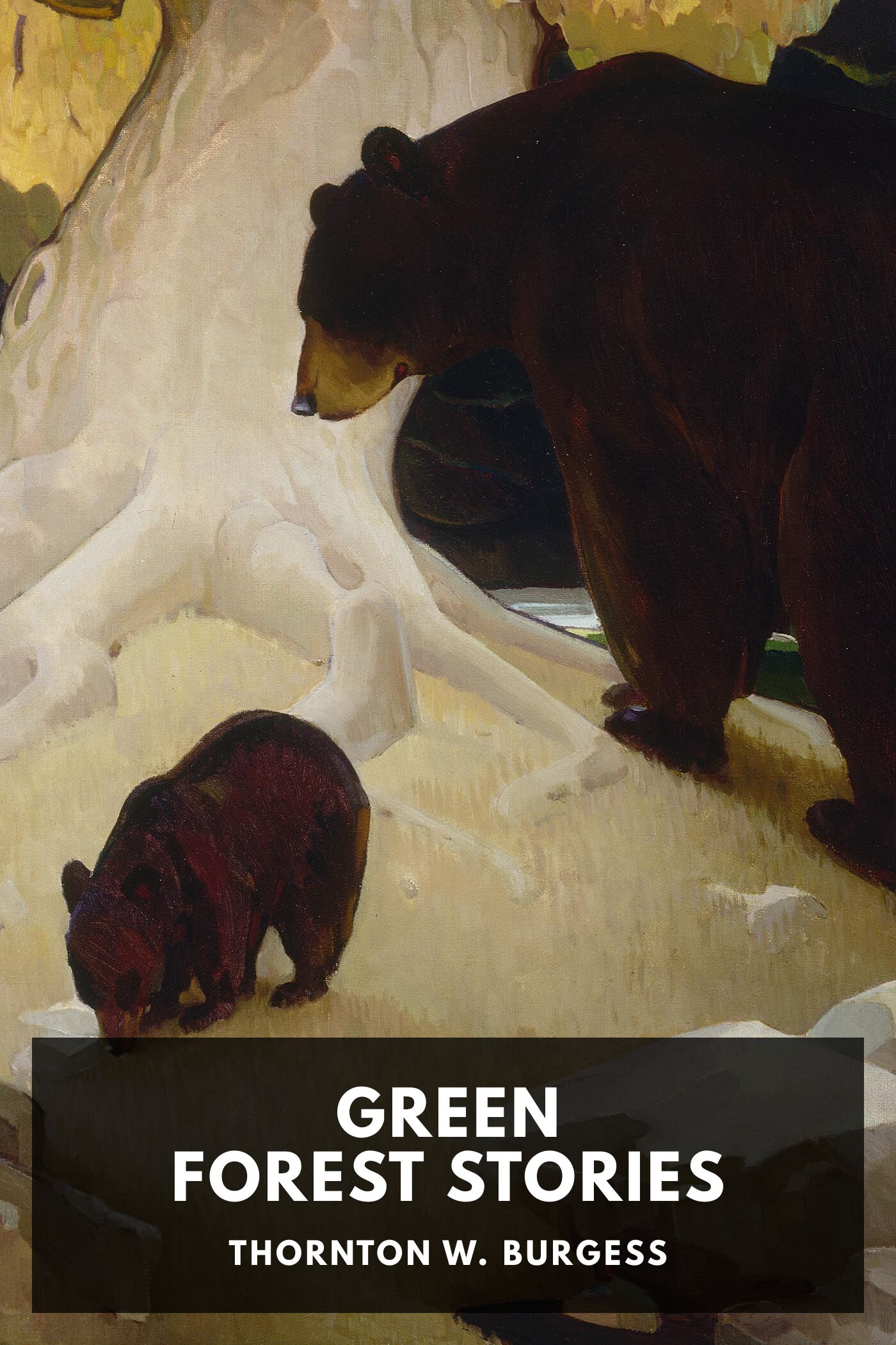 Green Forest Stories Pg4670
