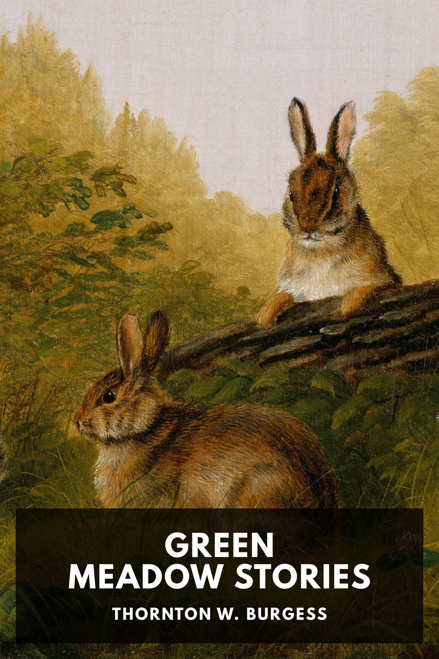 Green Meadow Stories Pg13355