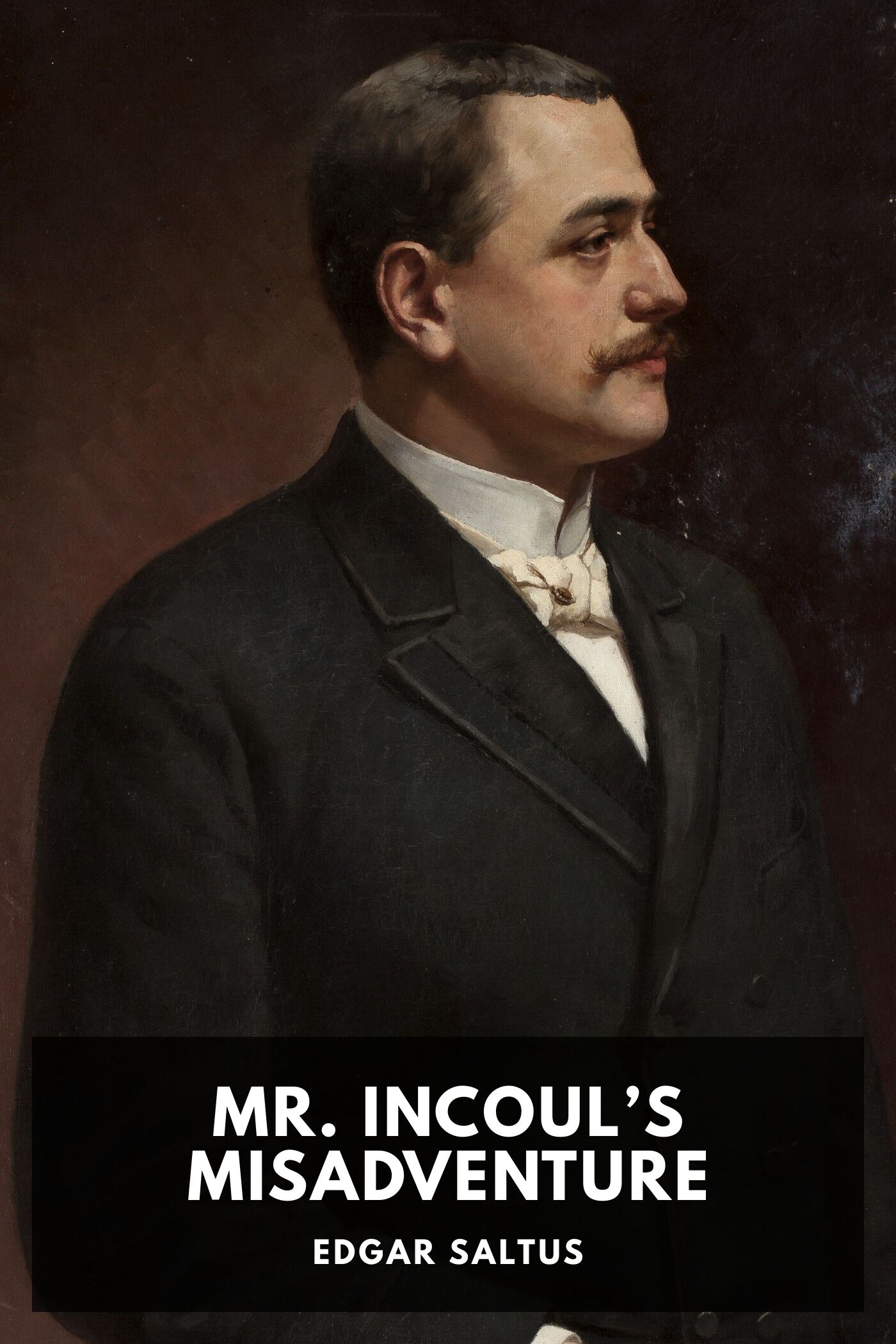 Mr Incouls Misadventure Pg47061
