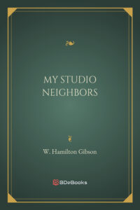 My Studio Neighbors Pg22165