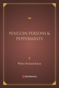 Penguin Persons Peppermints Pg26405