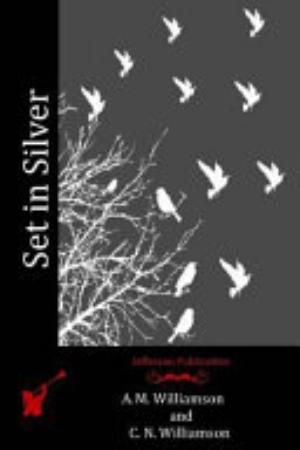 Set In Silver Pg19412