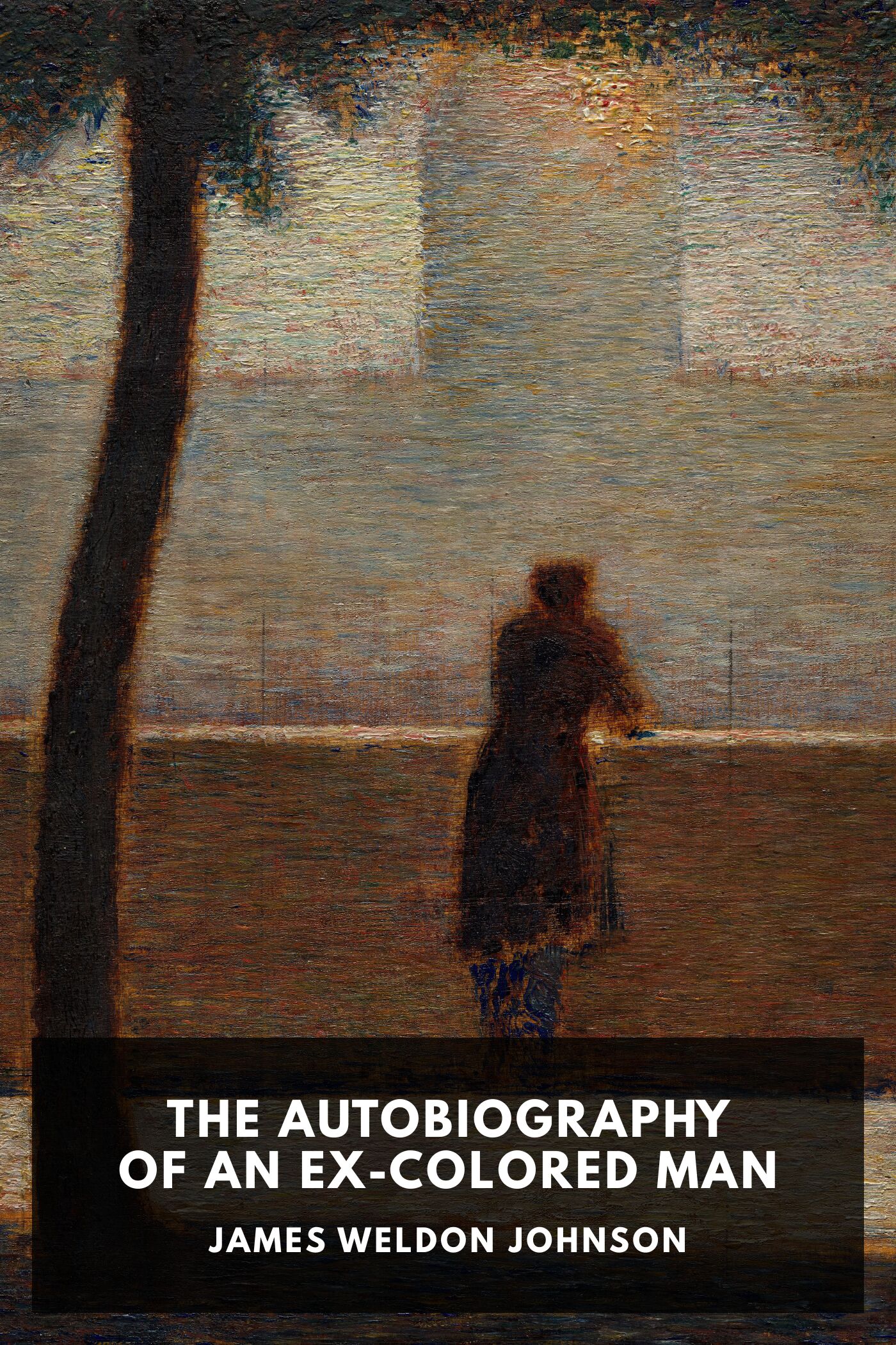 The Autobiography Of An Ex Colored Man Pg11012
