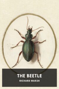 The Beetle Pg5164