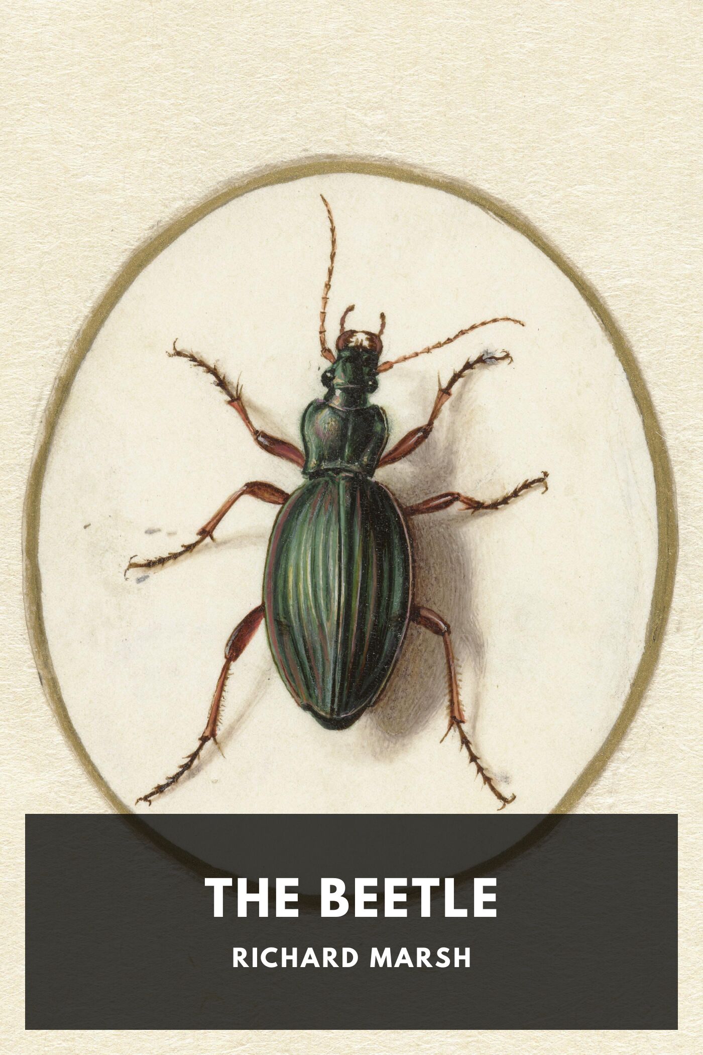 The Beetle Pg5164