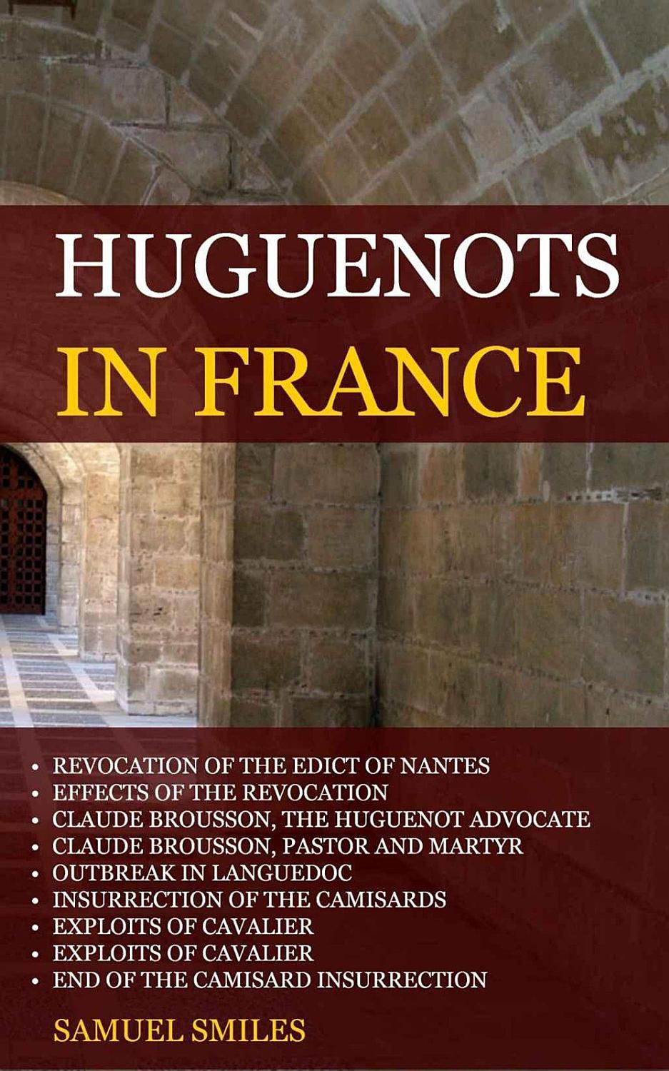 The Huguenots In France Pg26524