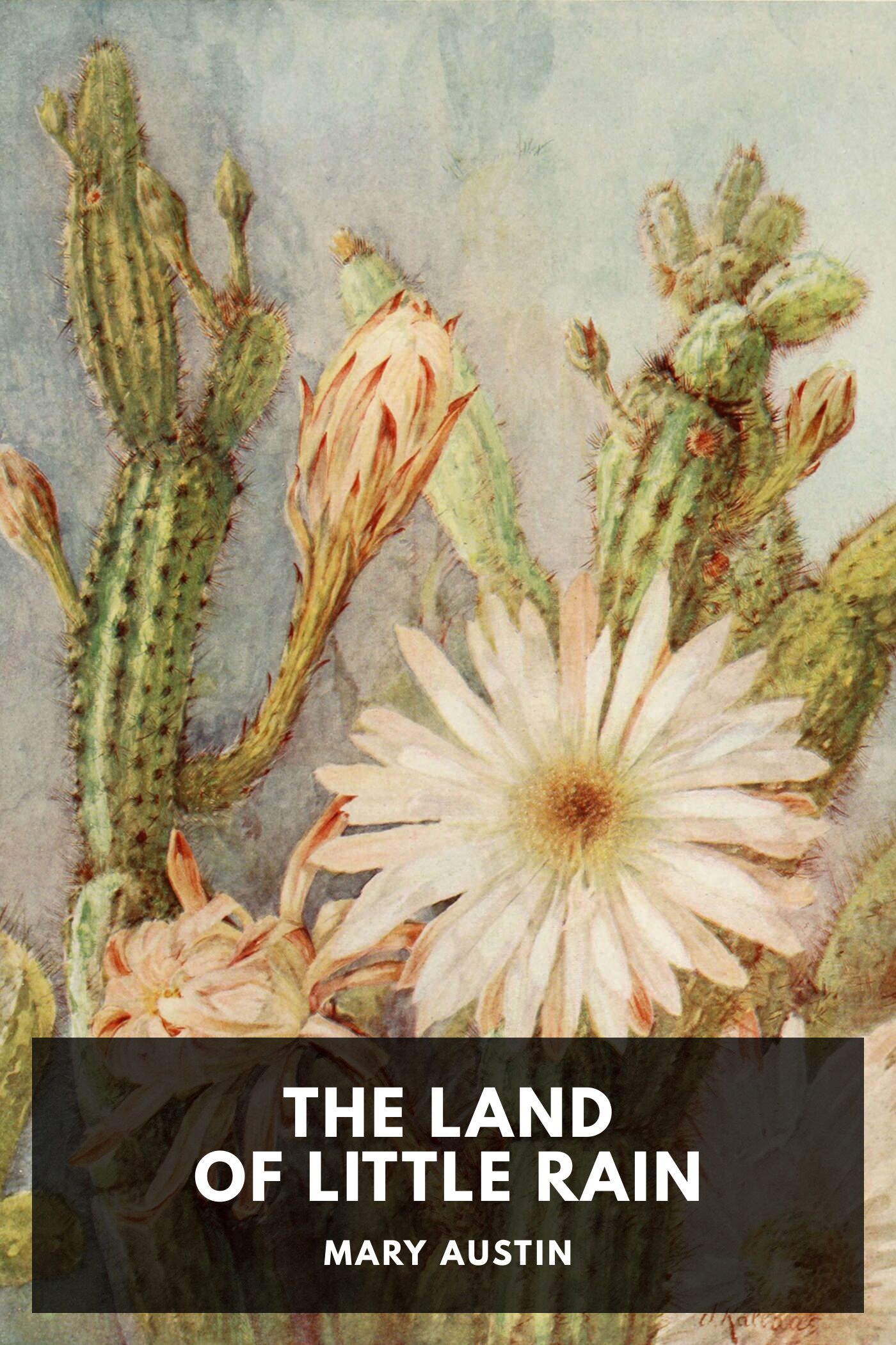 The Land Of Little Rain Pg365