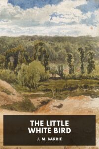 The Little White Bird Pg1376