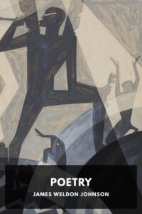 The Poetry Of James Weldon Johnson Pg17884