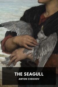 The Seagull Pg93000471