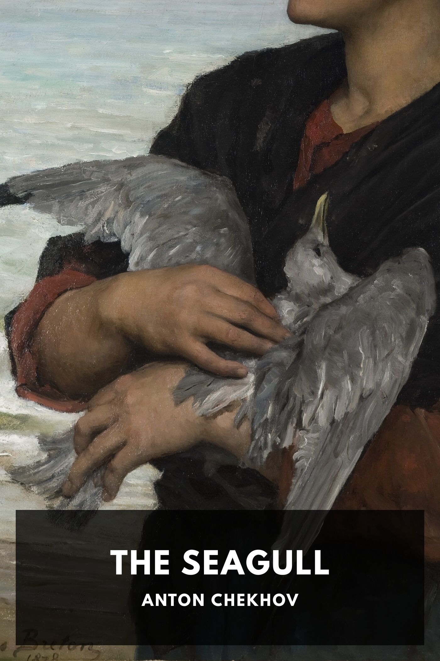 The Seagull Pg93000471