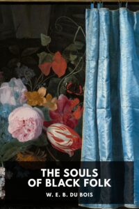 The Souls Of Black Folk Pg408