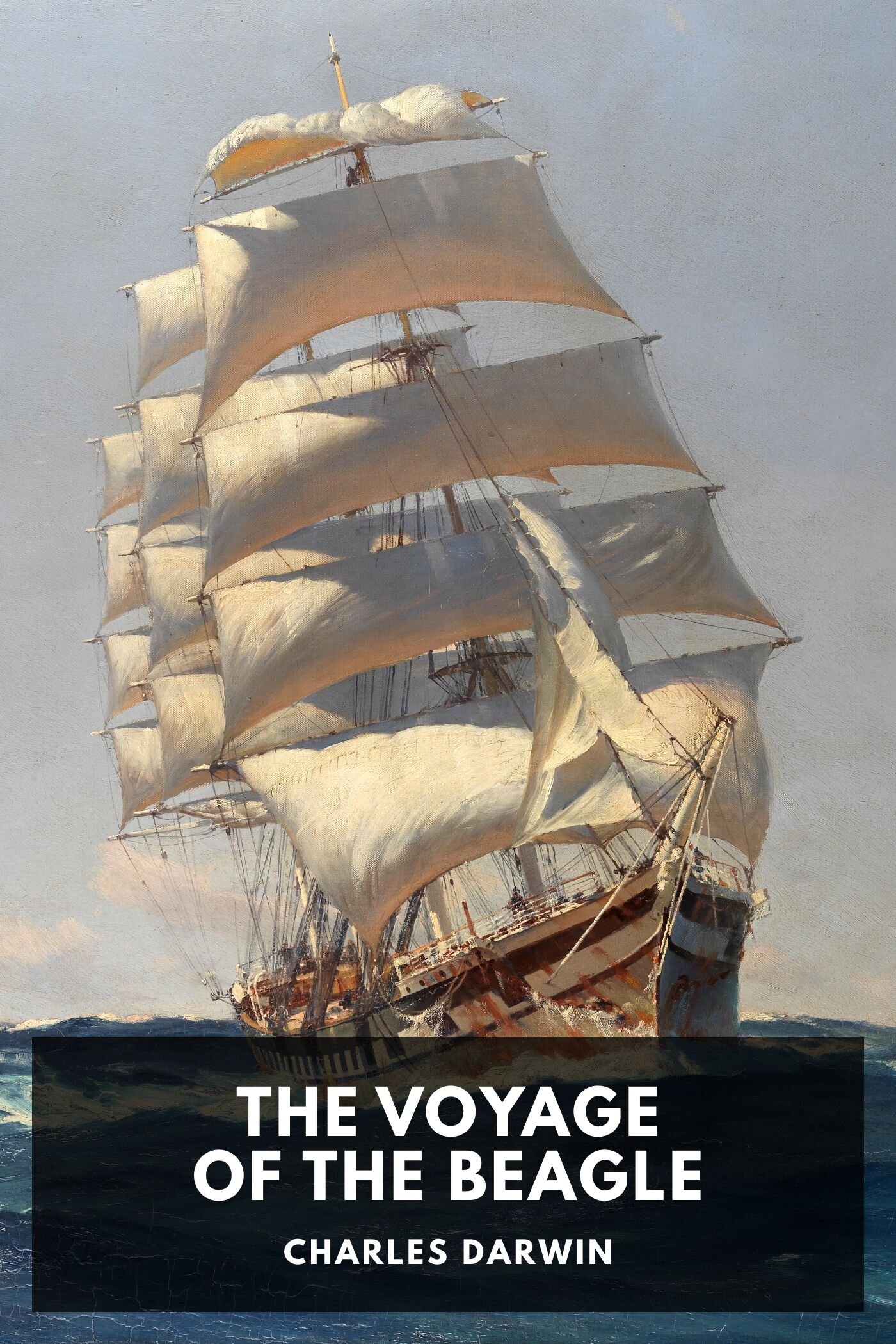The Voyage Of The Beagle Pg944