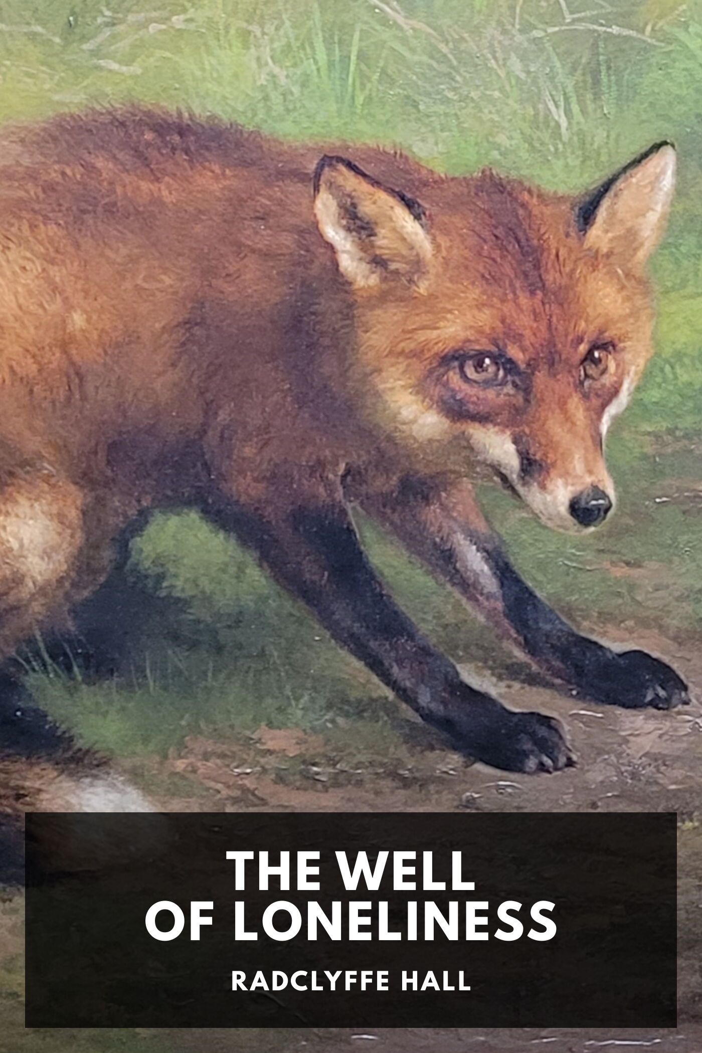 The Well Of Loneliness Pg73042