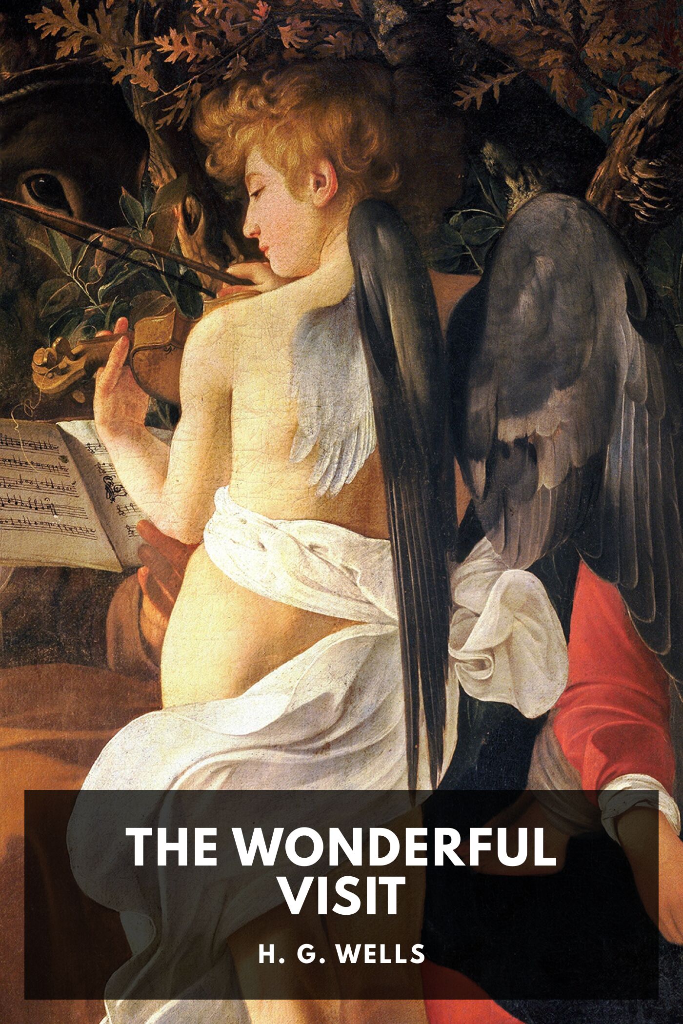 The Wonderful Visit Pg33913