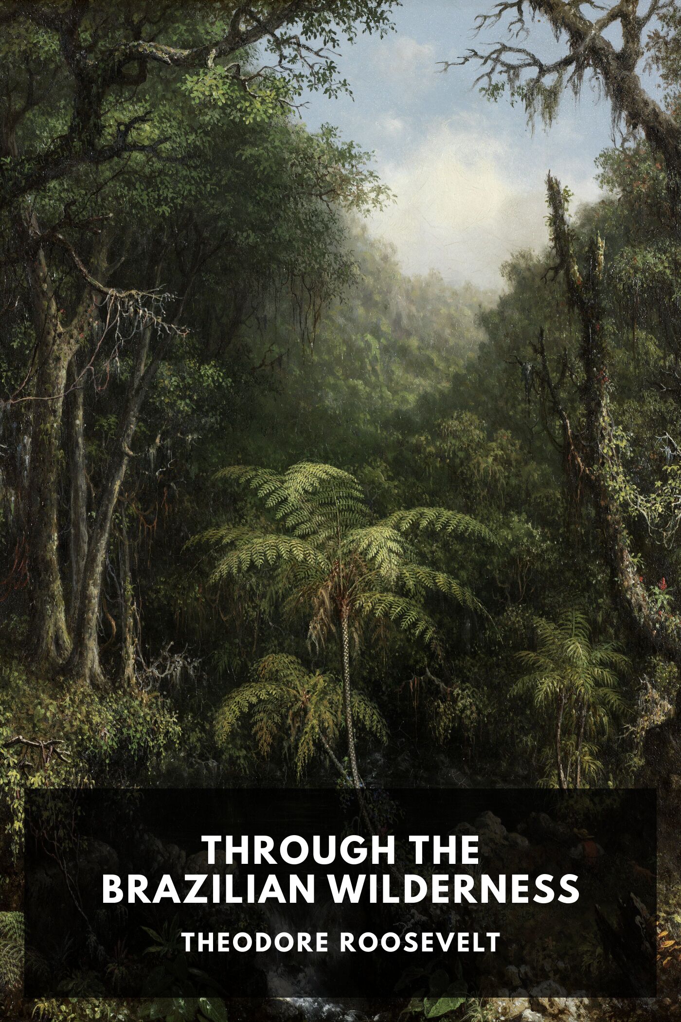 Through The Brazilian Wilderness Pg11746