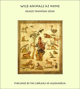 Wild Animals At Home Pg27887
