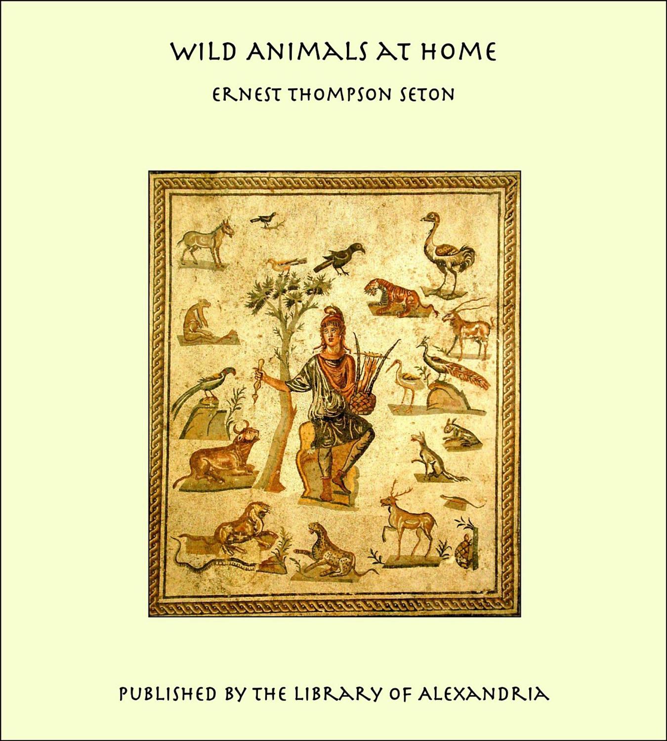 Wild Animals At Home Pg27887