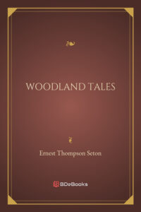 Woodland Tales Pg23667