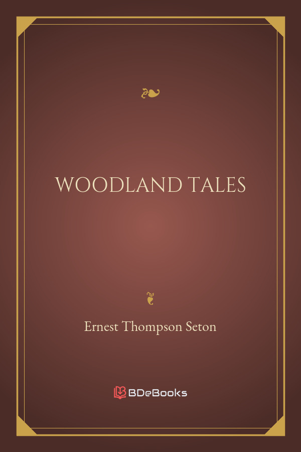 Woodland Tales Pg23667