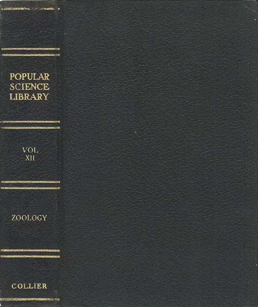 Zoölogy by Ernest Ingersoll, book cover