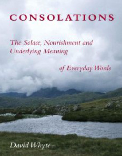 Consolations: The Solace, Nourishment