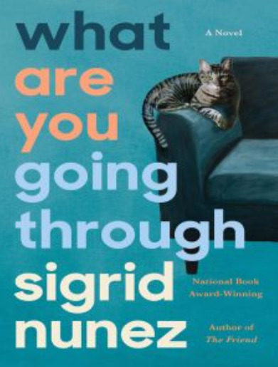What Are You Going Through By Sigrid Nunez