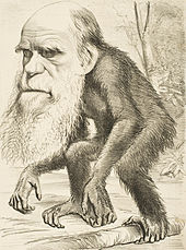 Books Written Based On Charles Darwin's Theory Of Evolution