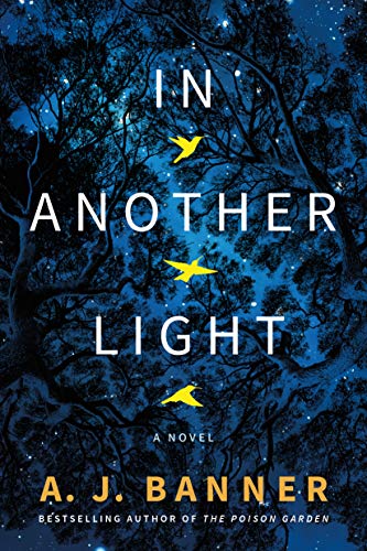 In Another Light_ A Novel - A. J. Banner
