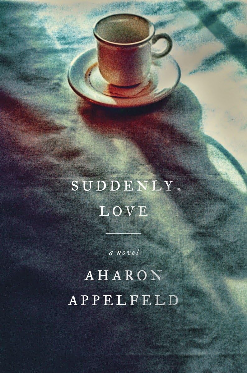 Suddenly, Love - Aharon Appelfeld