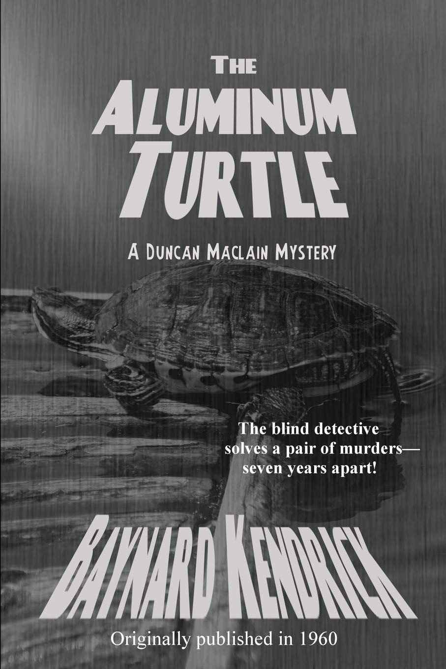 The Aluminum Turtle