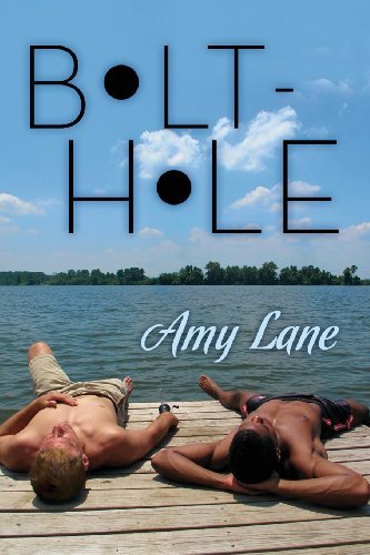 Bolt-hole - Amy Lane
