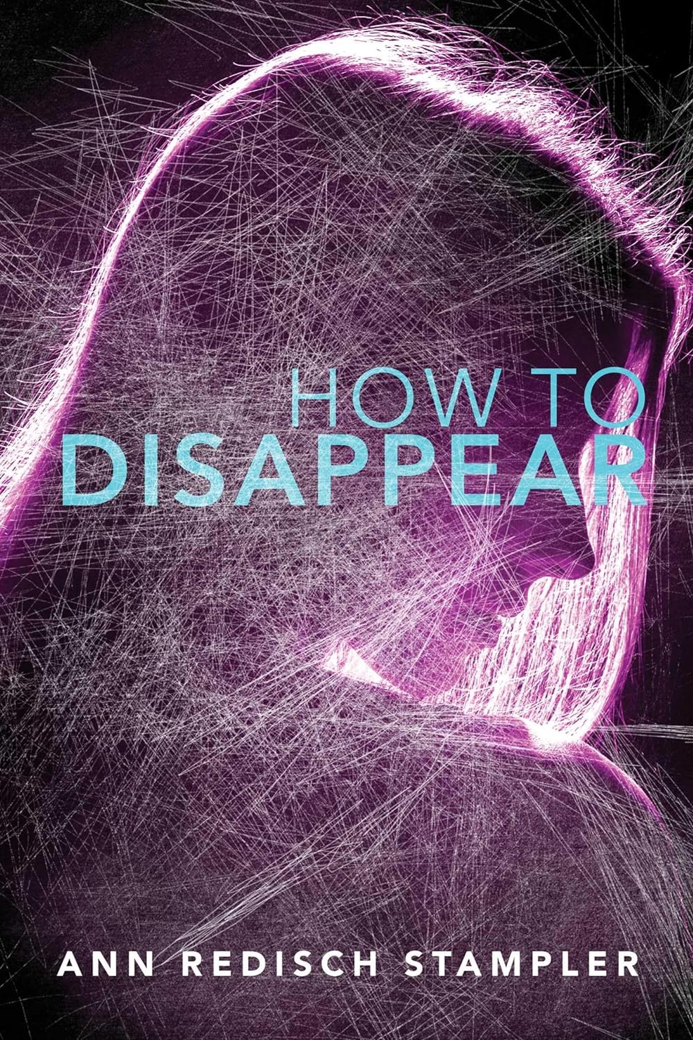 How to Disappear - Ann Redisch Stampler