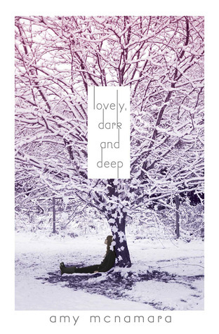 Lovely, Dark and Deep - Amy McNamara